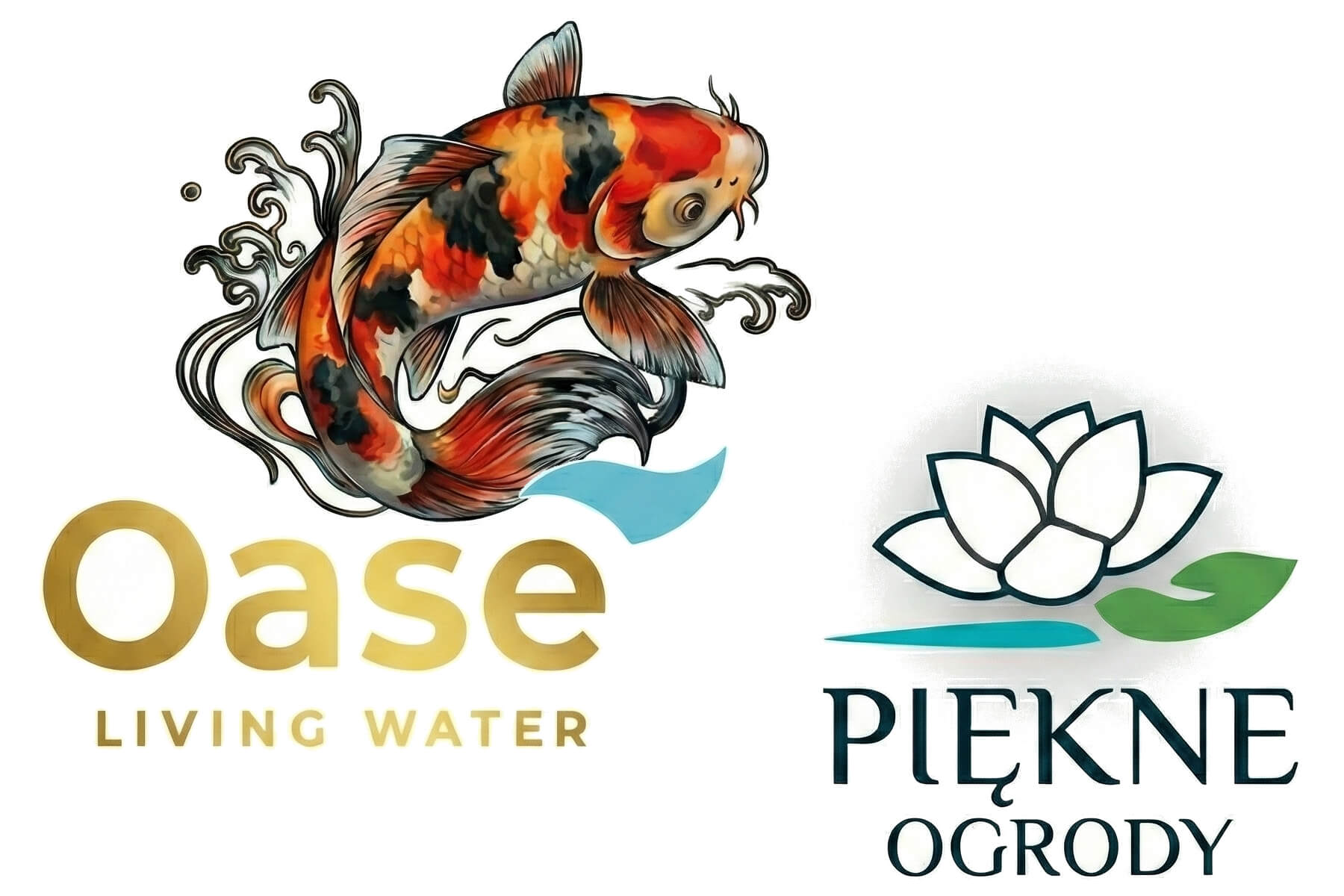 Nowości 2026 autoryzowany dystrybutor Oase 